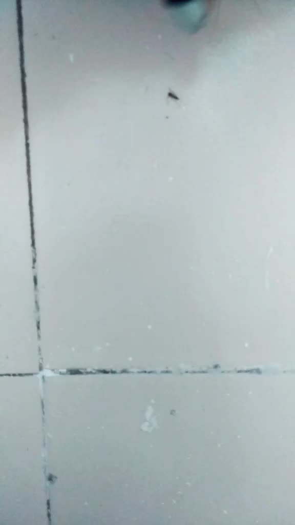 @Lekshmi Daksha Lachu