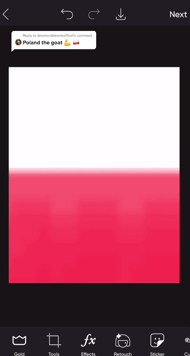 @Poland Is Everywhere 🇵🇱