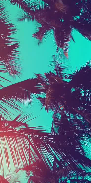 @spandana kumar