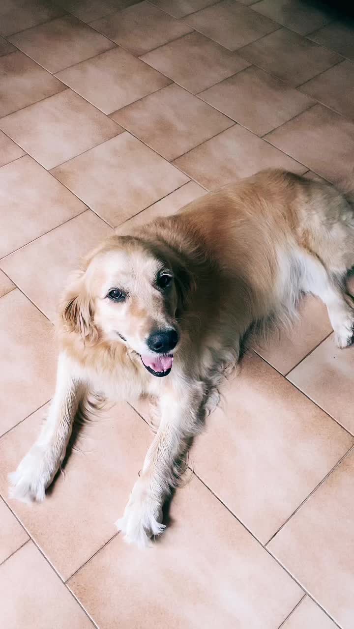 @🐶PENNY🐶