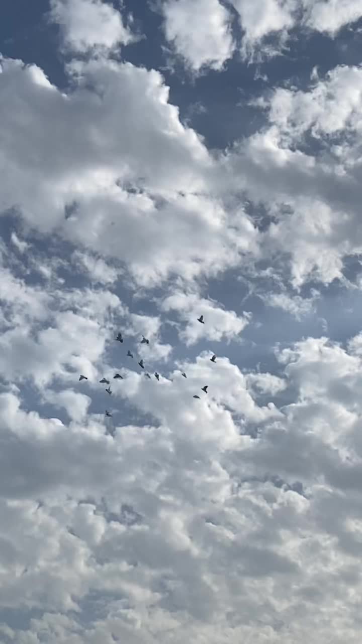 @مَنار