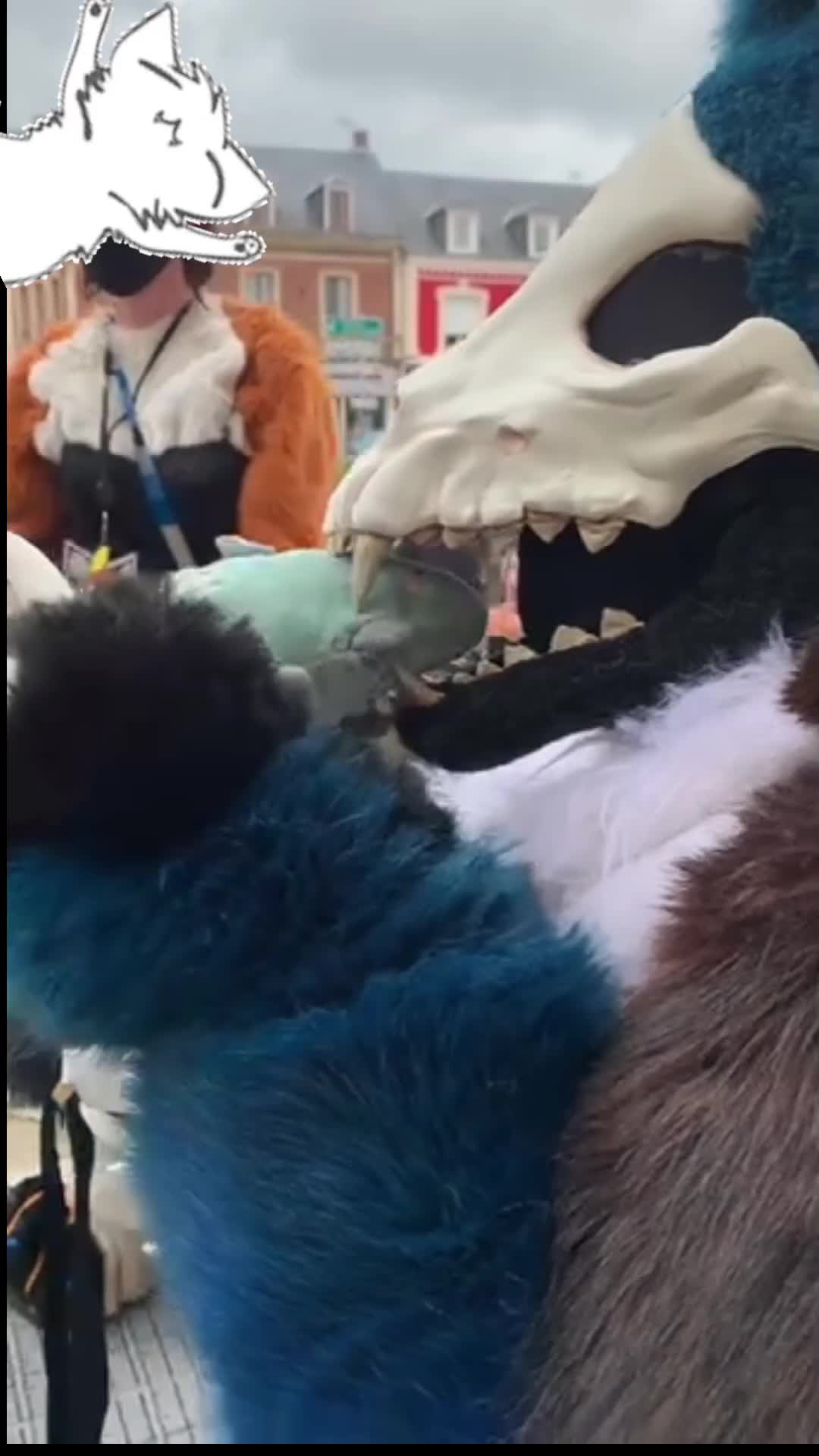 @KITJUNE