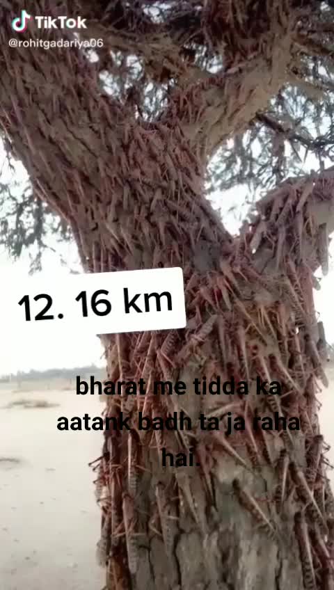 @user585092545562
