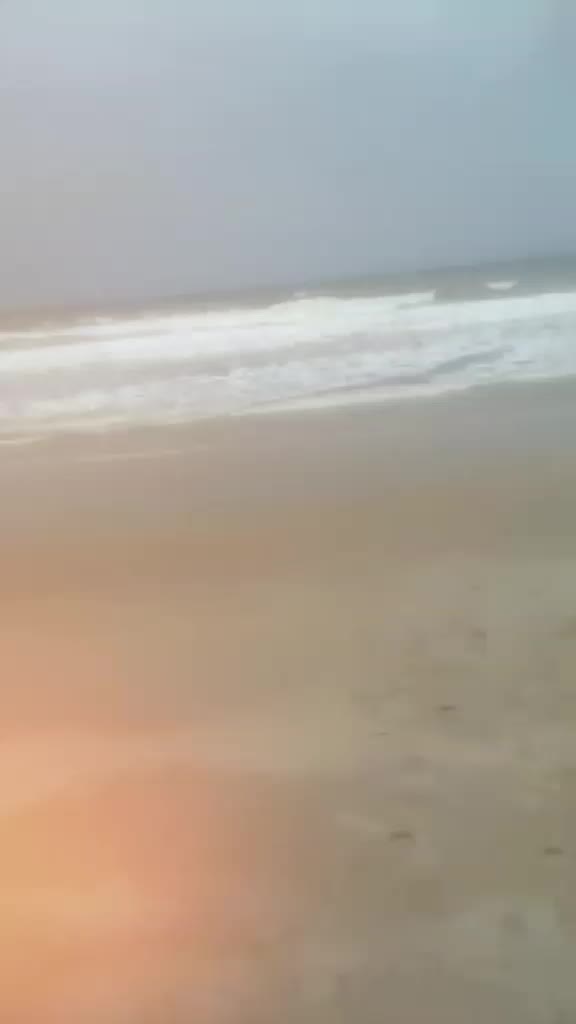 @๐ฆ๐ฆ๐ฆ DARBAR ๐ฆ๐ฆ๐ฆ