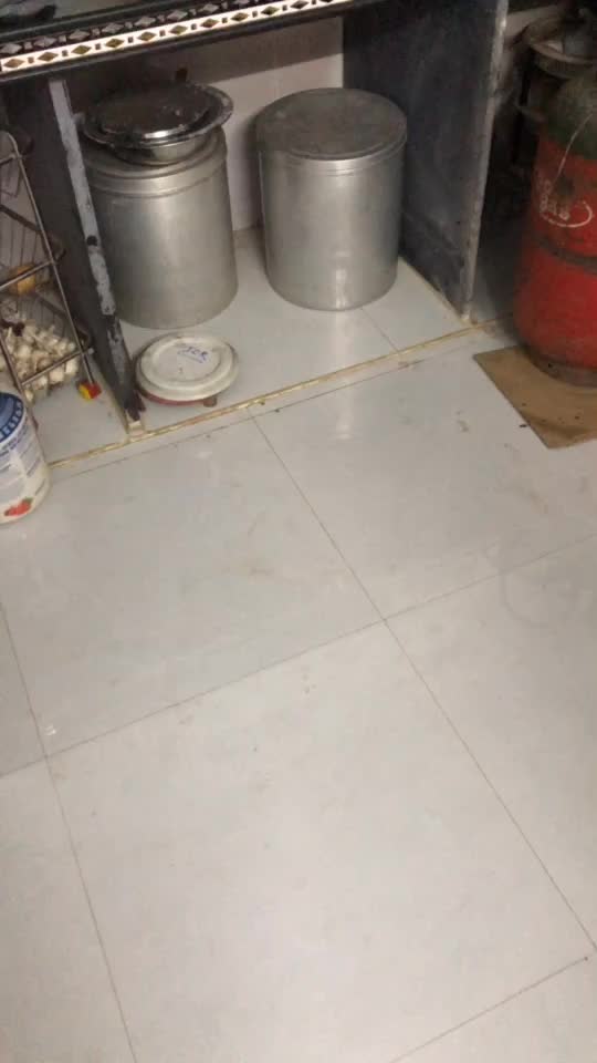 @Nikhildhodi05