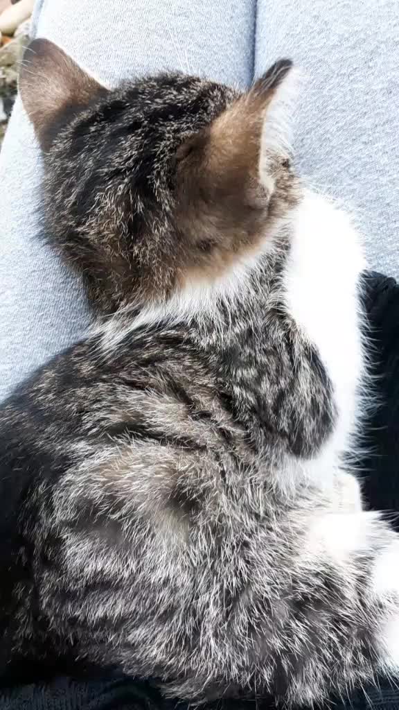 @tuğba6105