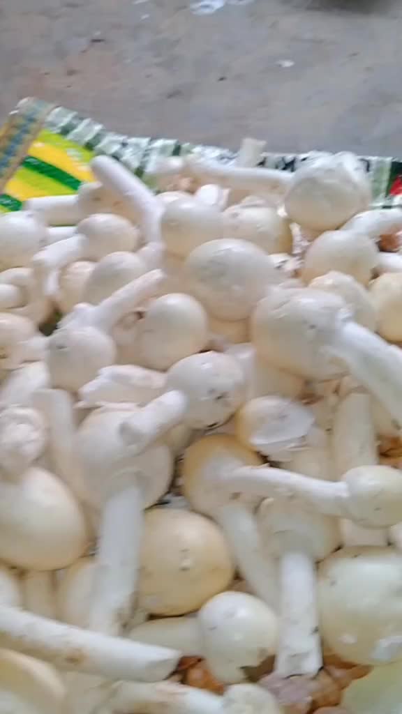 @Cụtẹ Bạbụ