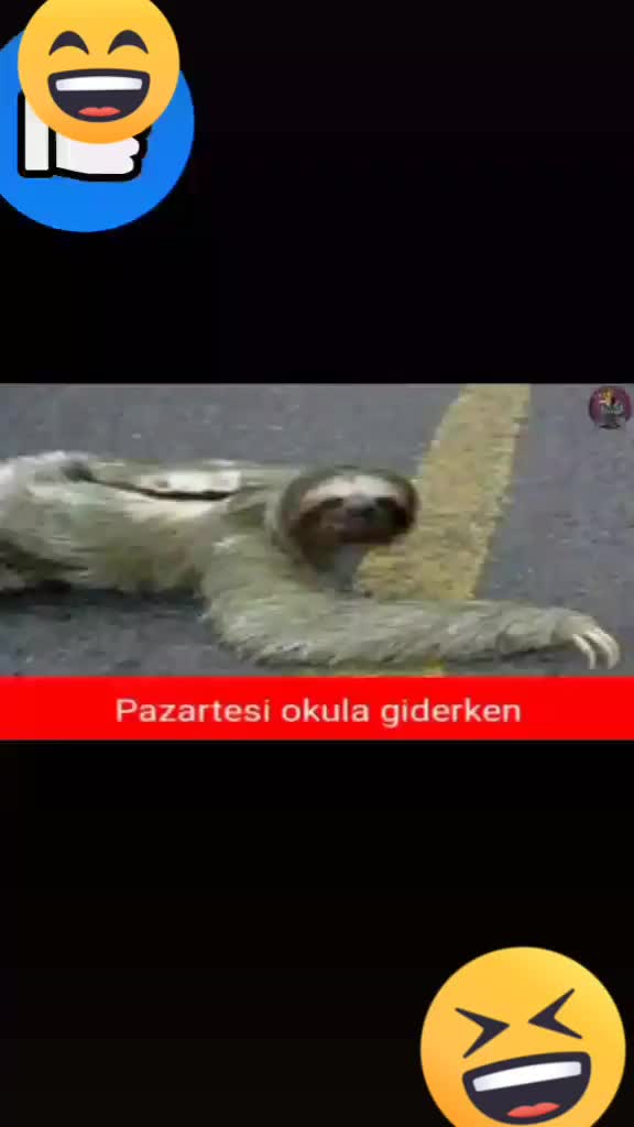 @🔱BASHİROVA _bs🔱