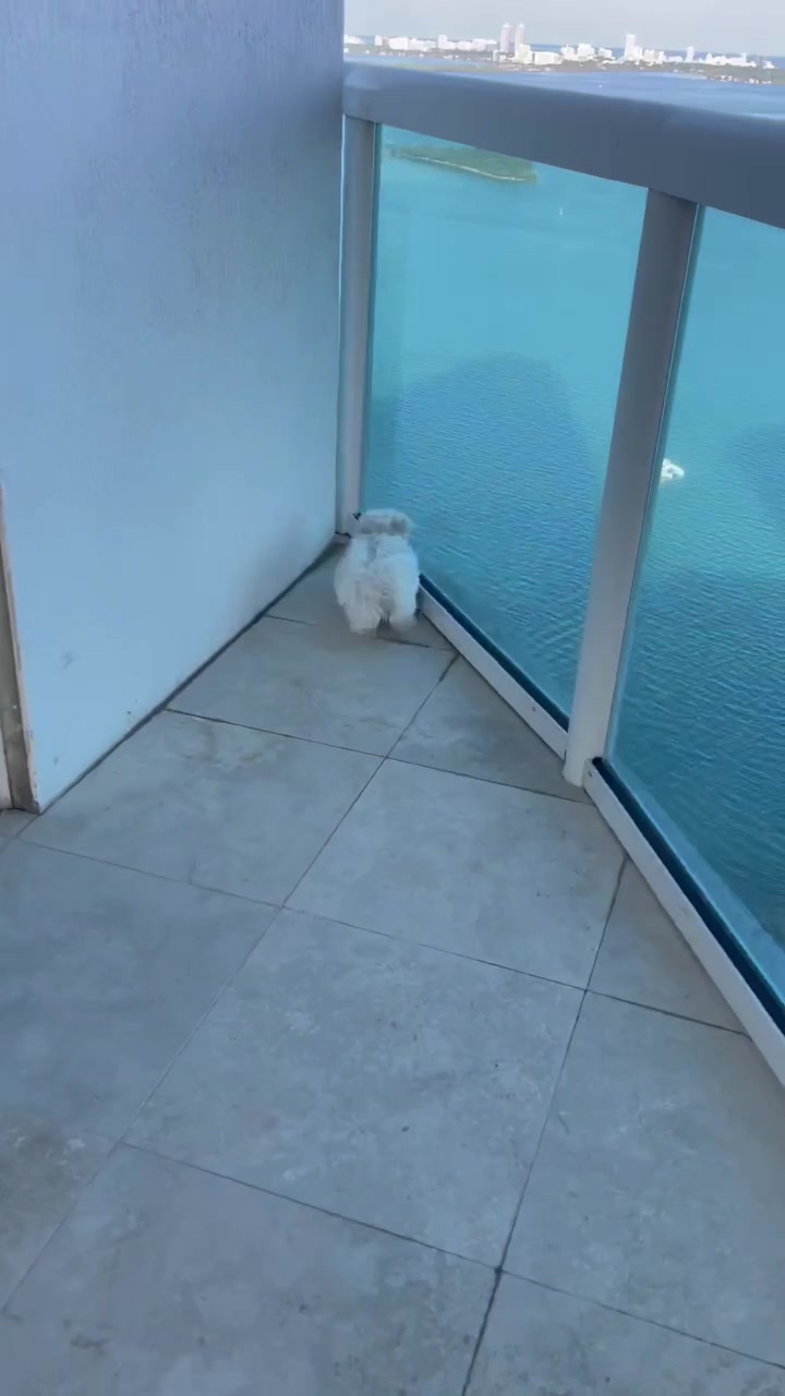 @Angie varona