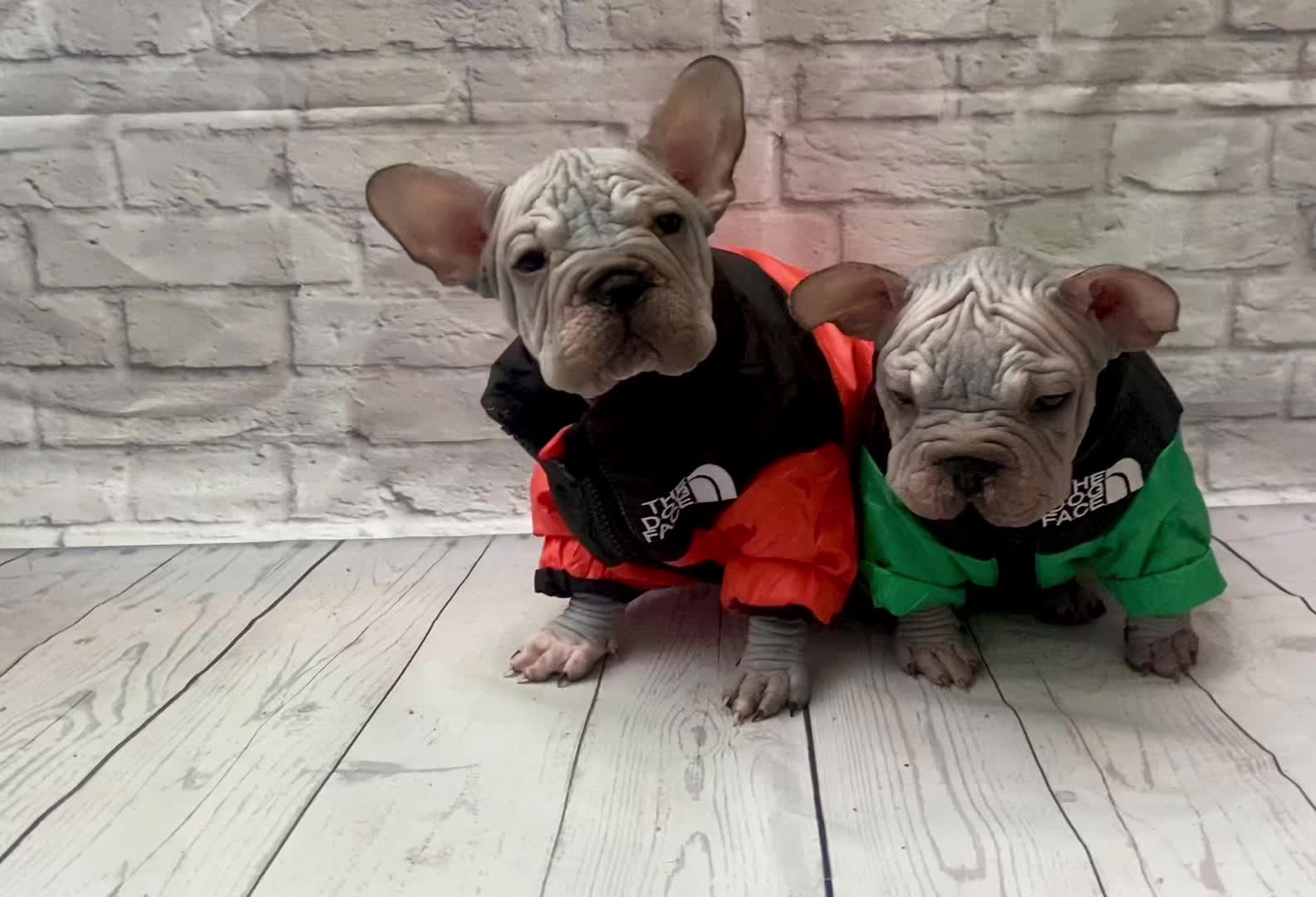 @Softskinpuppies