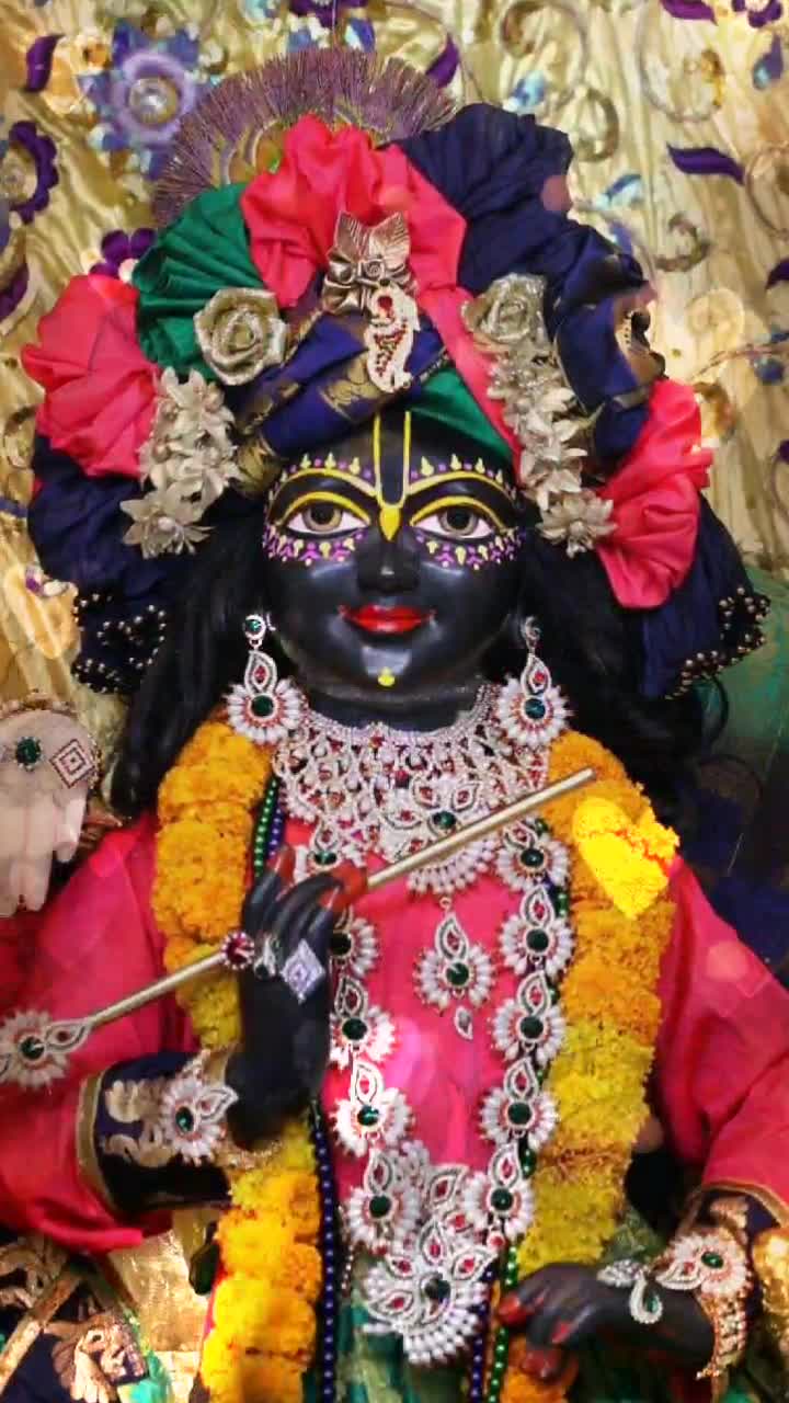 @Sonia Chauhan