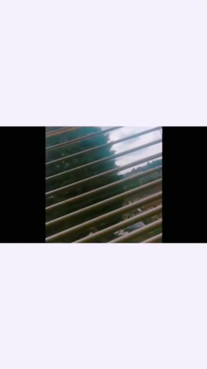 @🐝💕aesthetic💕🐝