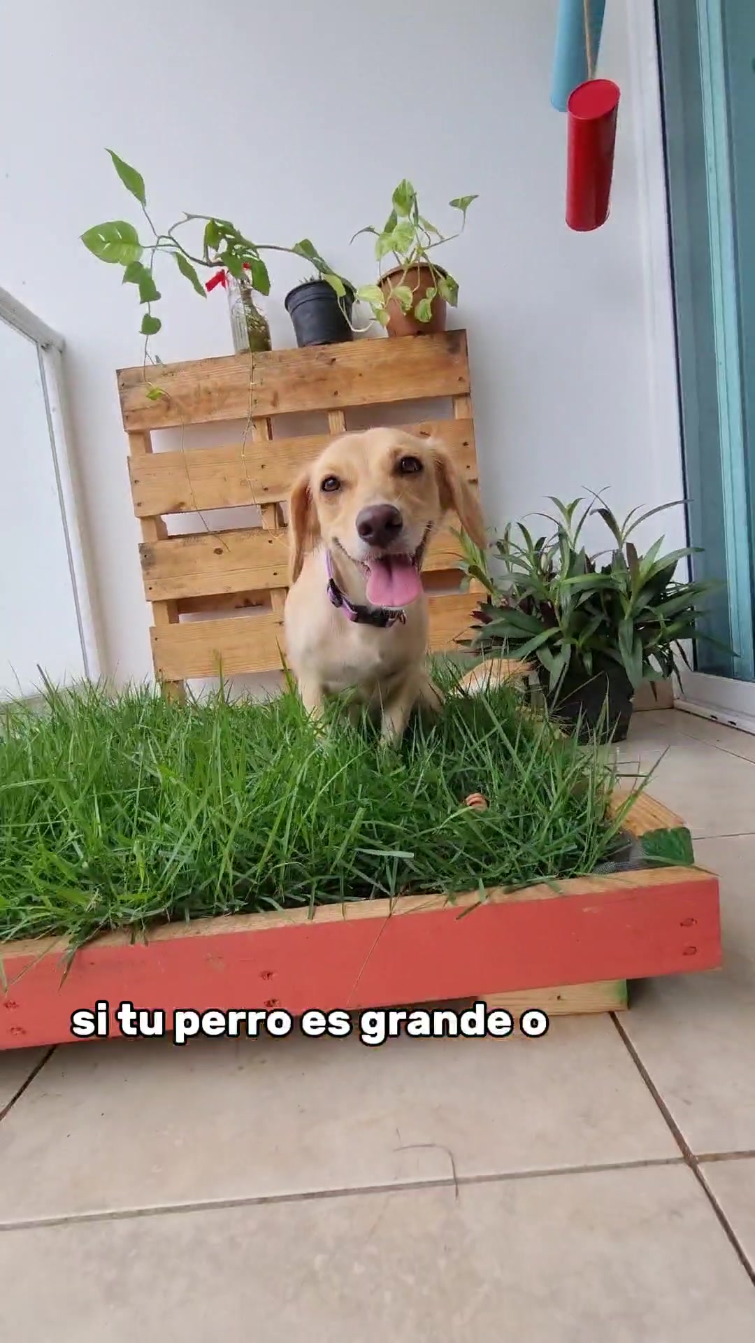 @Yumir Canelones