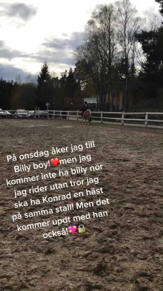@•Equestrians•