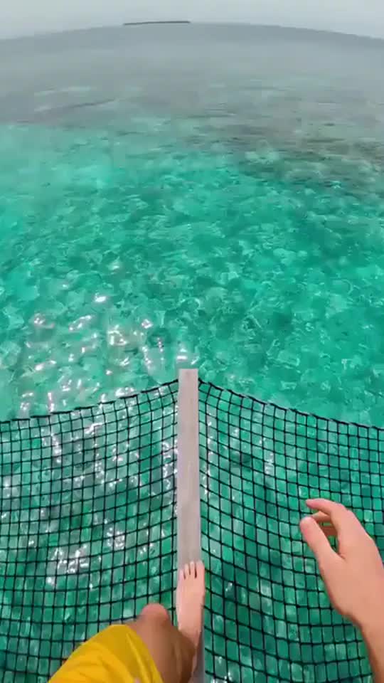 @7154699