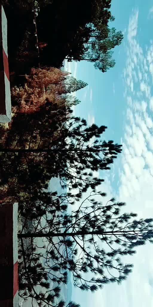 @Shalini Barthwal