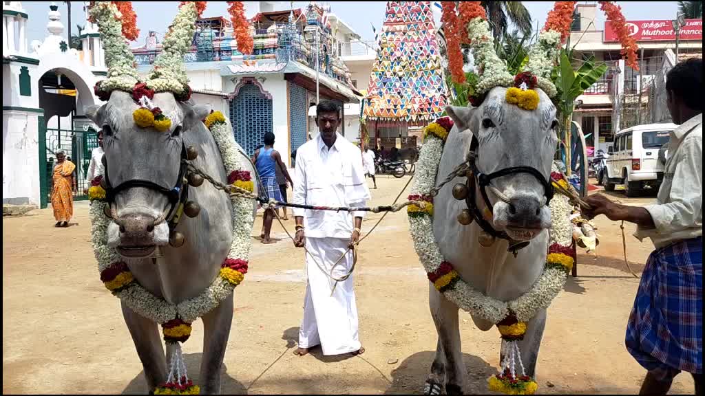 @Allumallu Allumallu