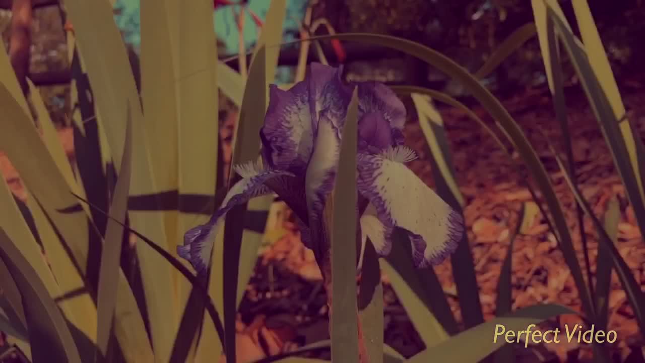 @โ ๐.๐๐ค โ