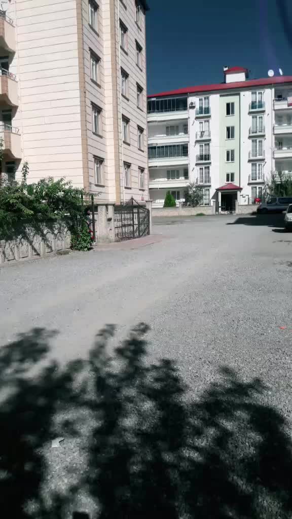 @yeliz g&uuml;lpınar