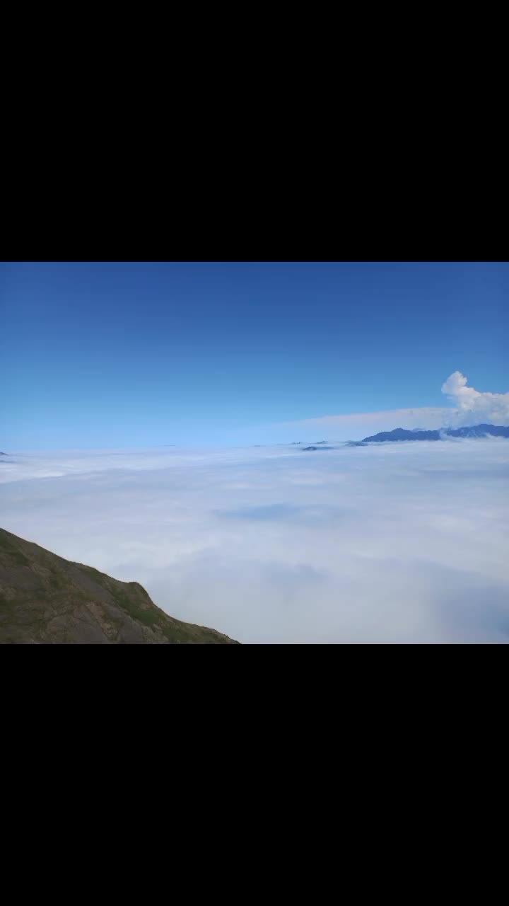 @timo moor