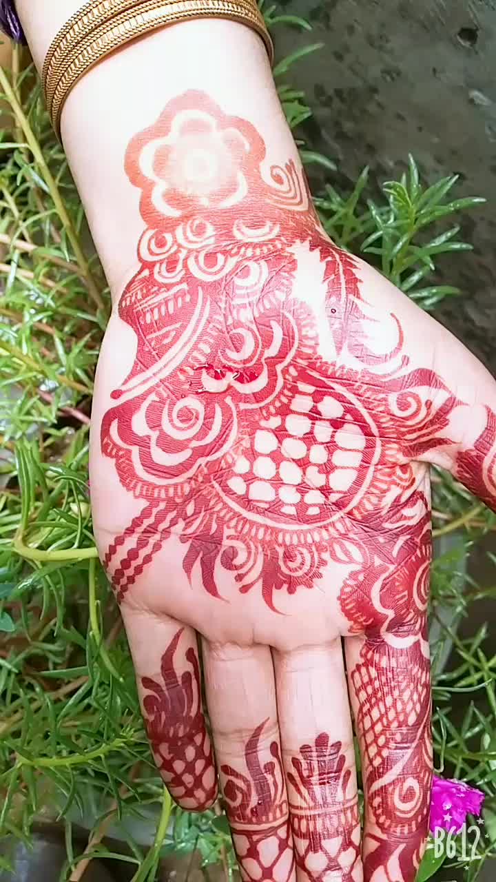 @Khushi Ansari