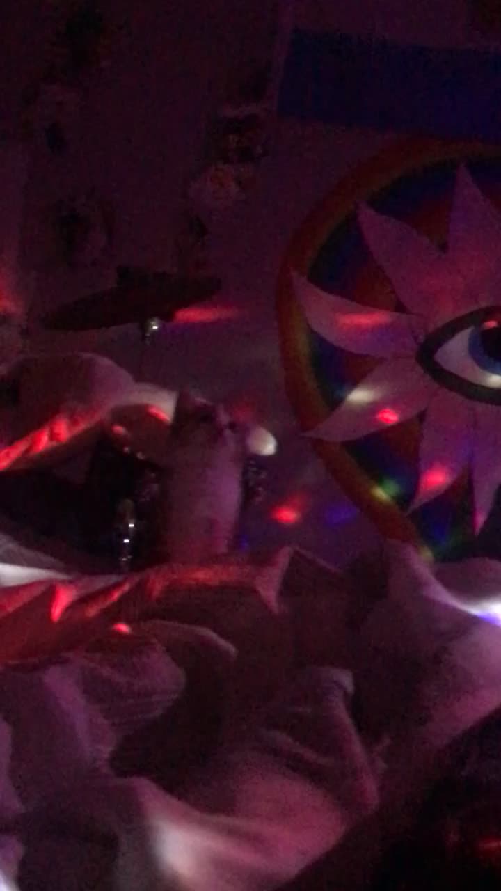 @🪩🕷️🖤