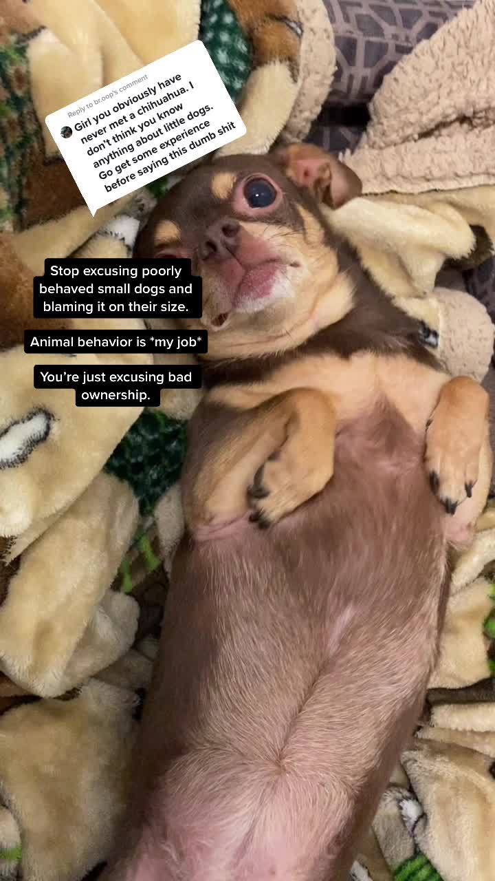 @Kasper