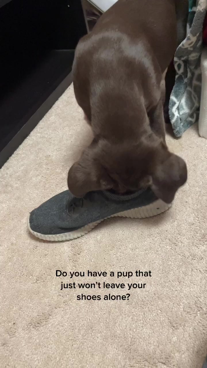 @Arrow_and_Korra