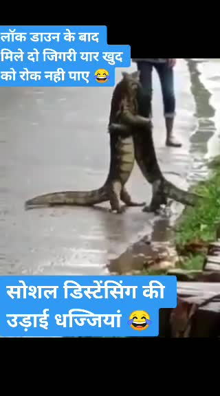 @Mohan Luna