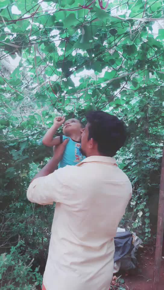 @Rajesh Raju