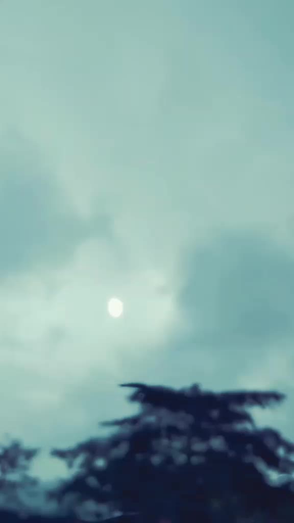 @charudatt