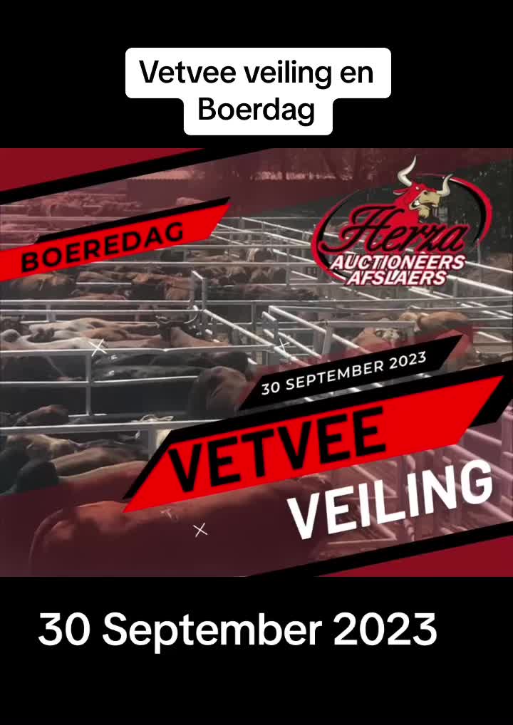 @Herza Auctioneers/Afslaers