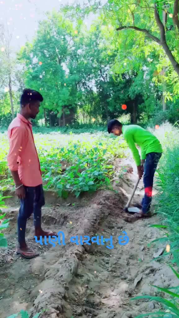 @yogeshzala54