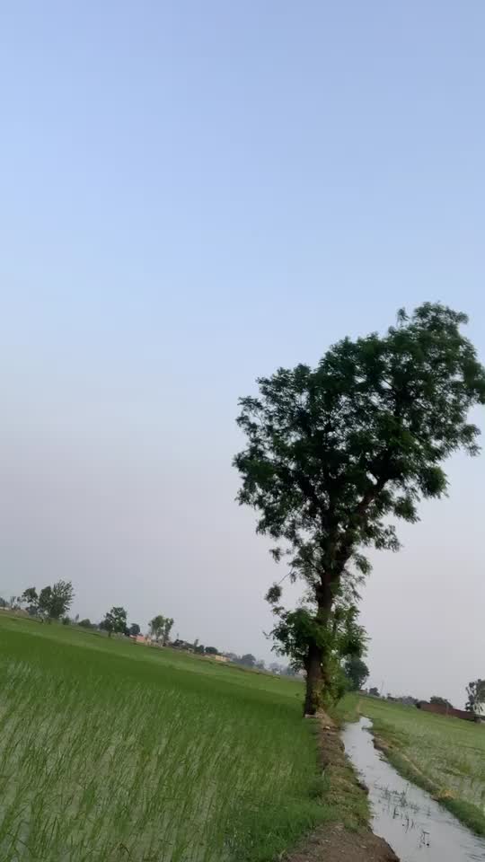 @jagjeet singh2626