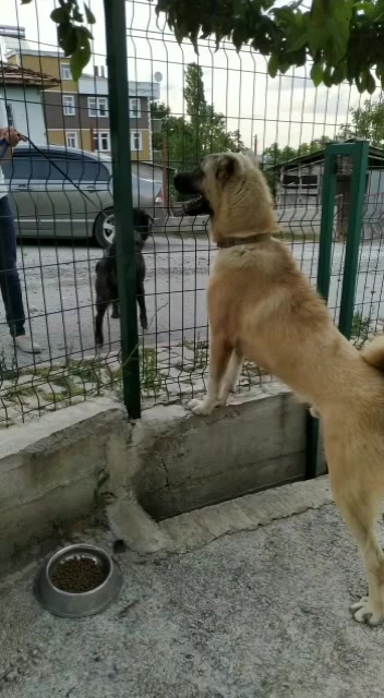 @Ilker Gen&ccedil;