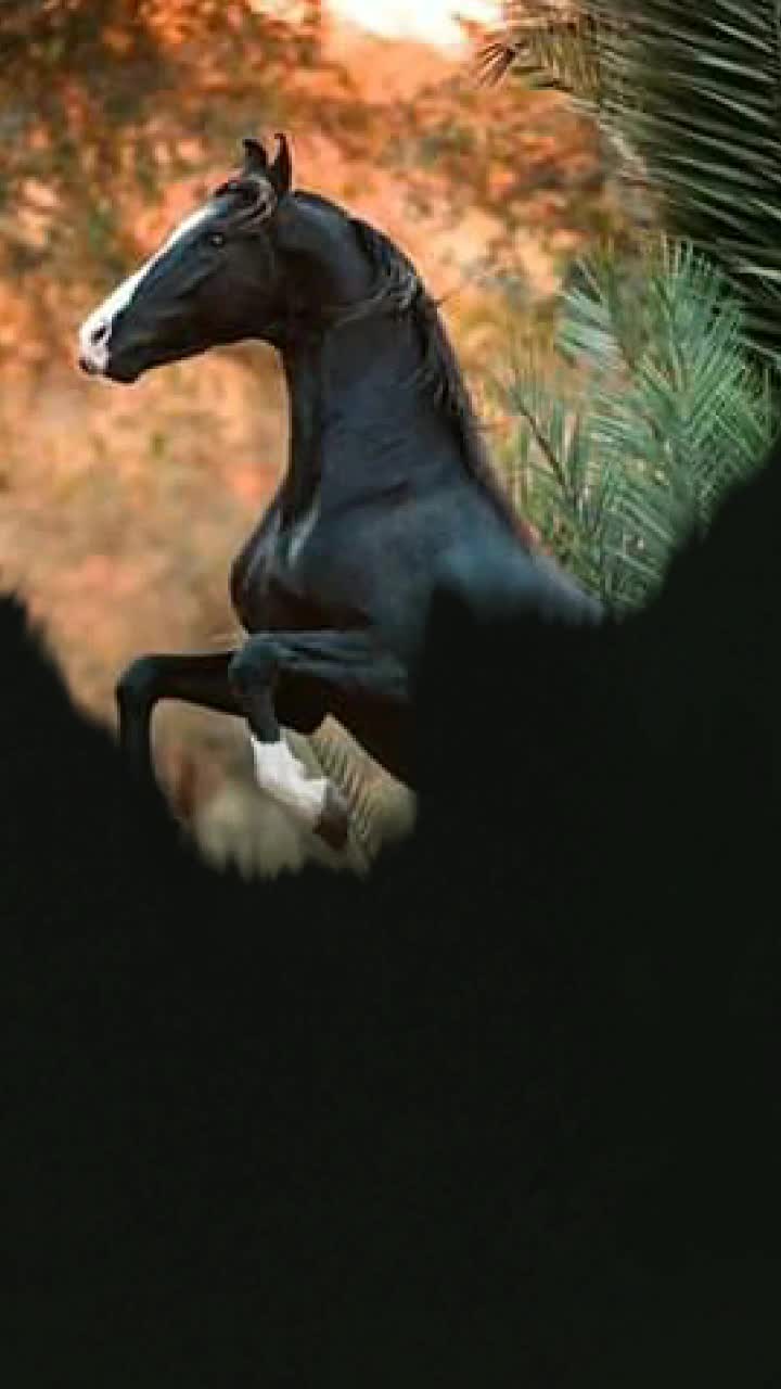 @Kabir ๐โ๏ธ๐ฌ๐ฌ๐ฌ