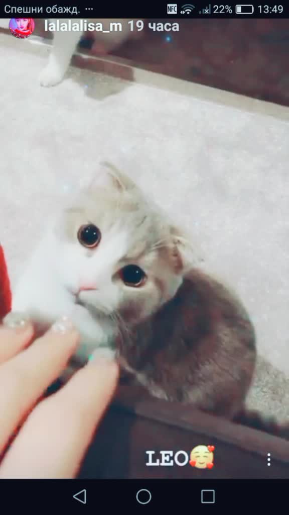@女十尸尸竹十大👅👅👅😘