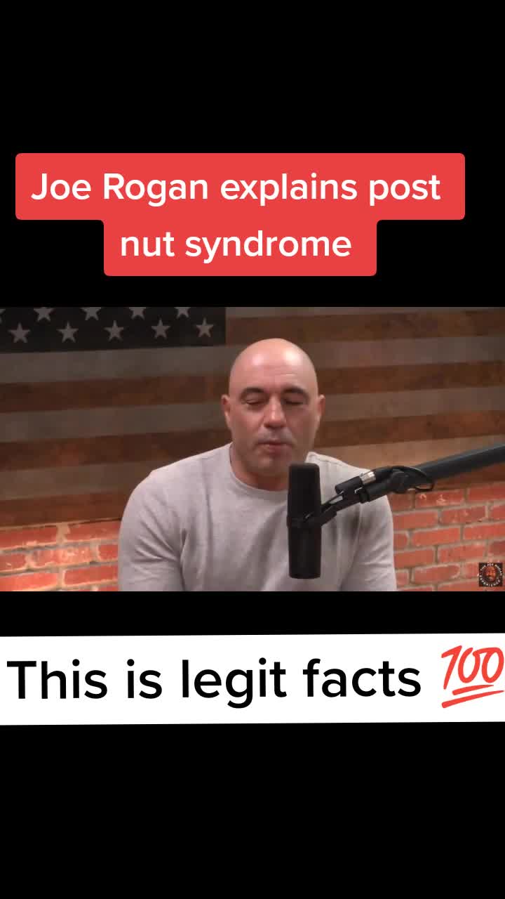 @pokédonog