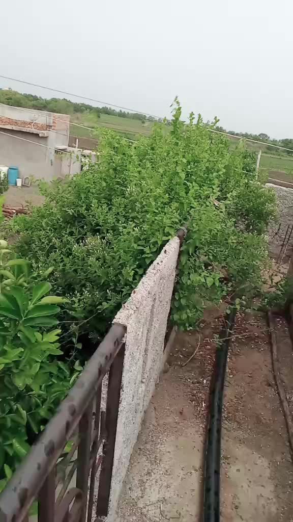 @Mukuda Shinde