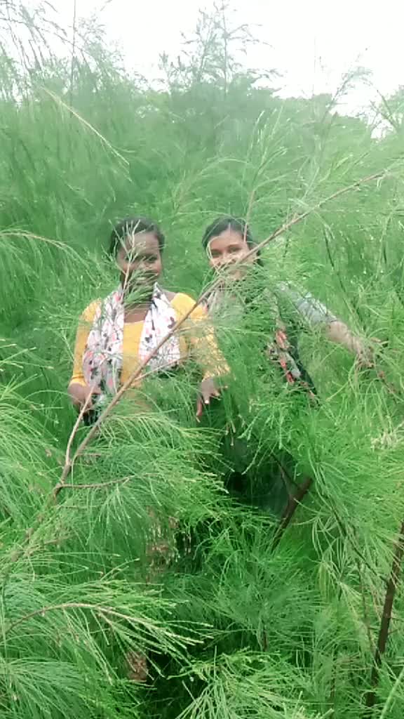 @parukutty