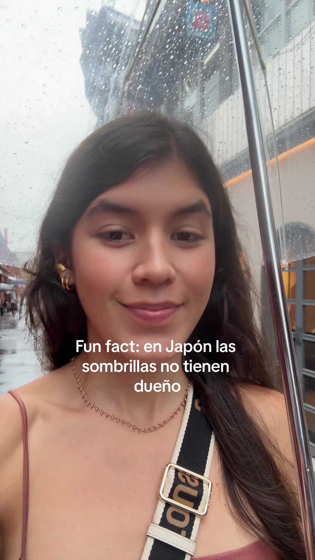 @Mariana Quintero E