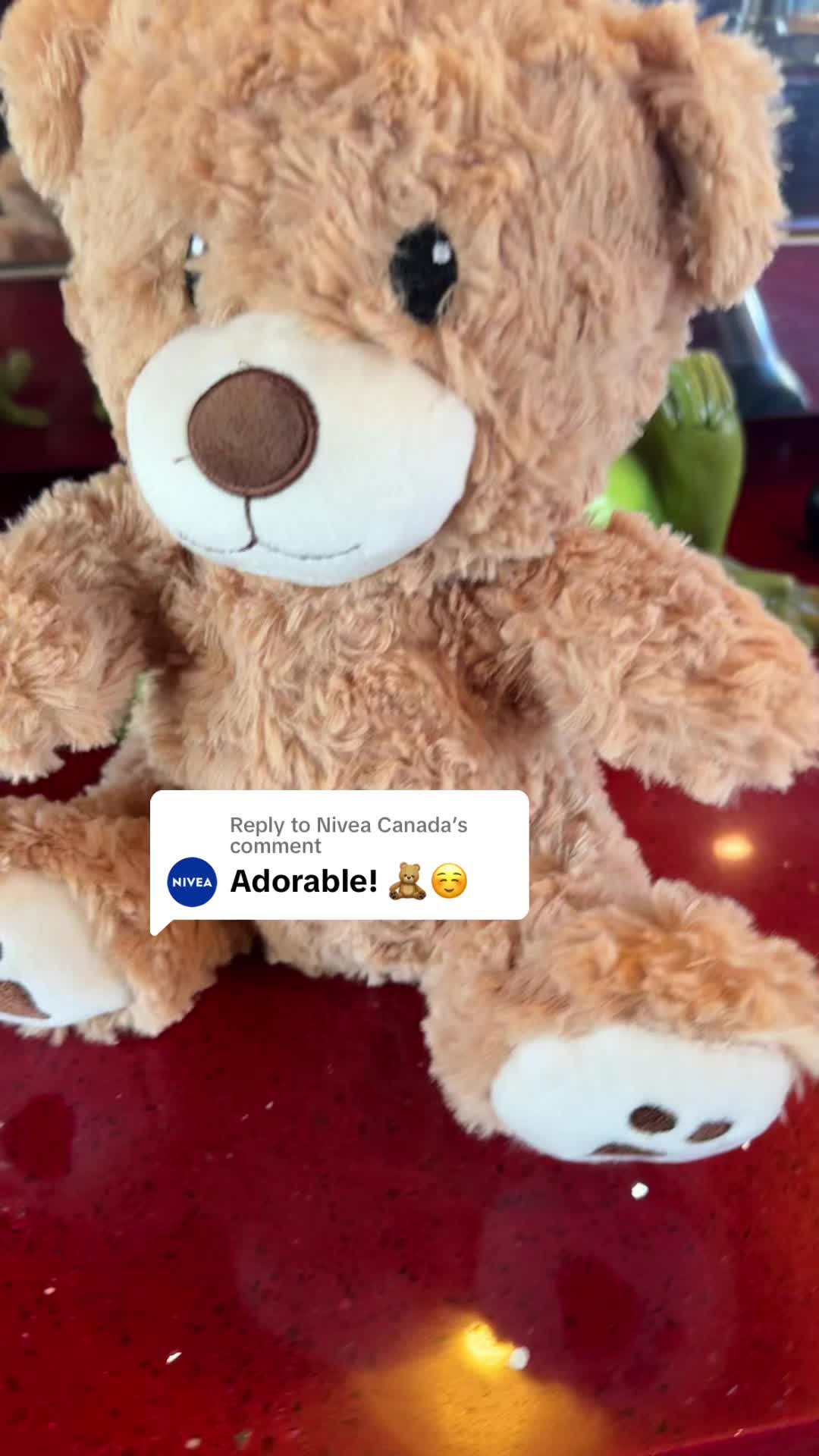 @🧸 Pookie Wookie Woo Bear 🧸
