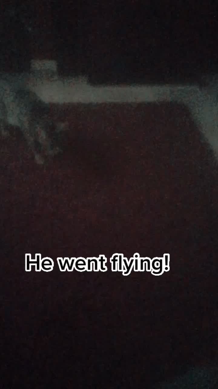 @😺😺