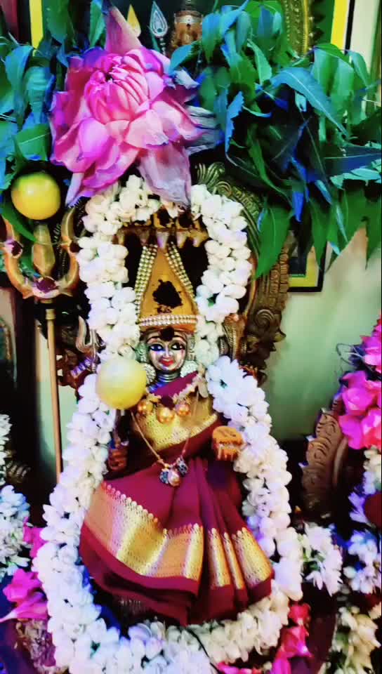 @poojasri