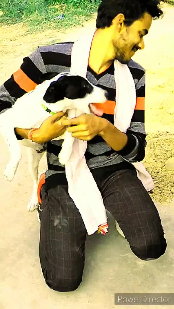 @Ankit Mishra Rewa