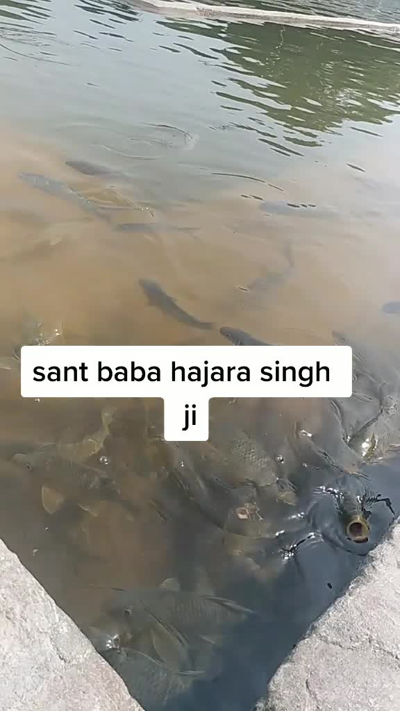@@sekhon