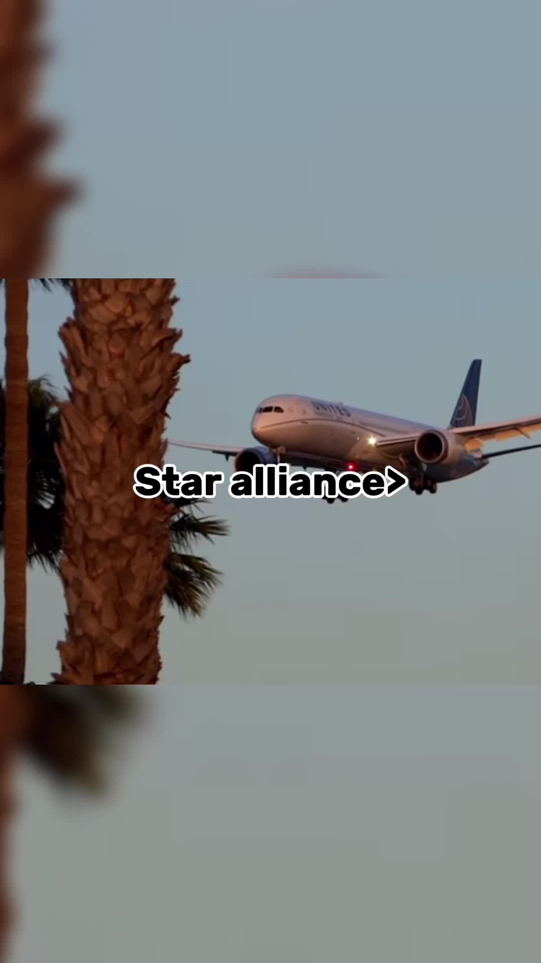 @Canadian aviation✈️