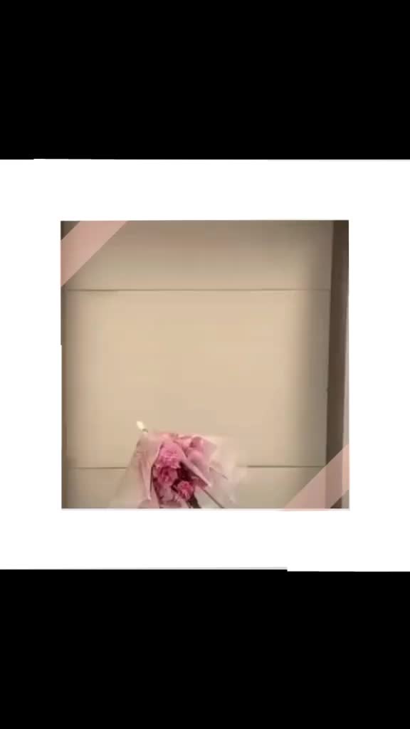 @ѕн&iota;fи&alpha;_ѕн&iota;f&upsilon;