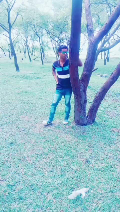 @user8895435824182