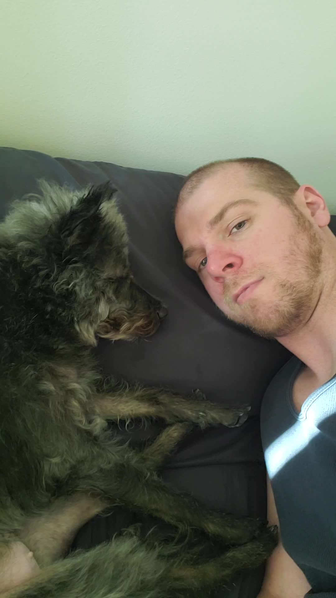 @Toto the Mutt